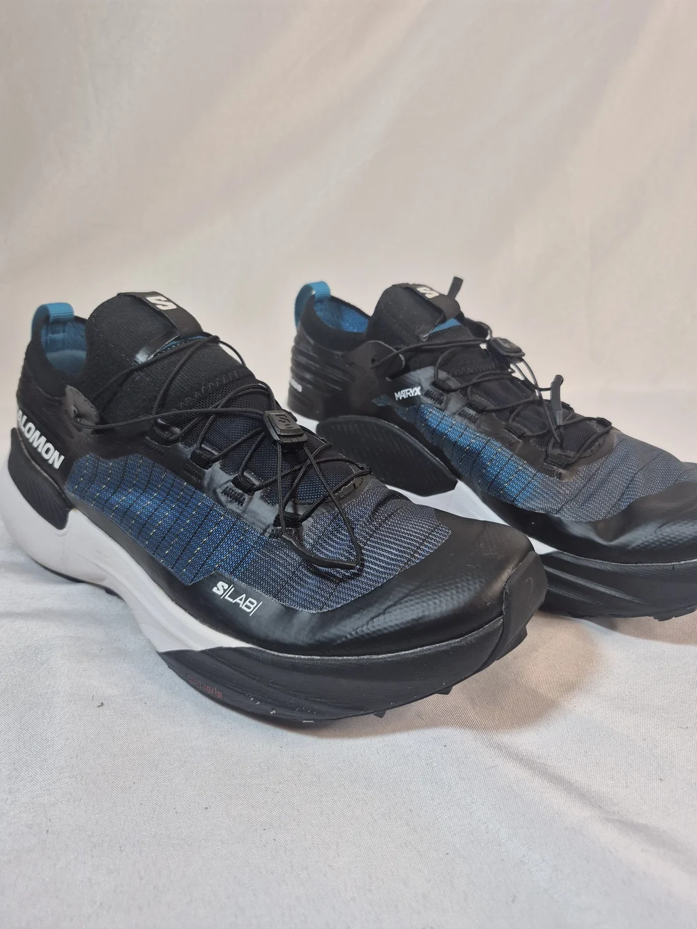 Salomon lab genesis